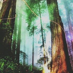 Meet your Posher, Dom